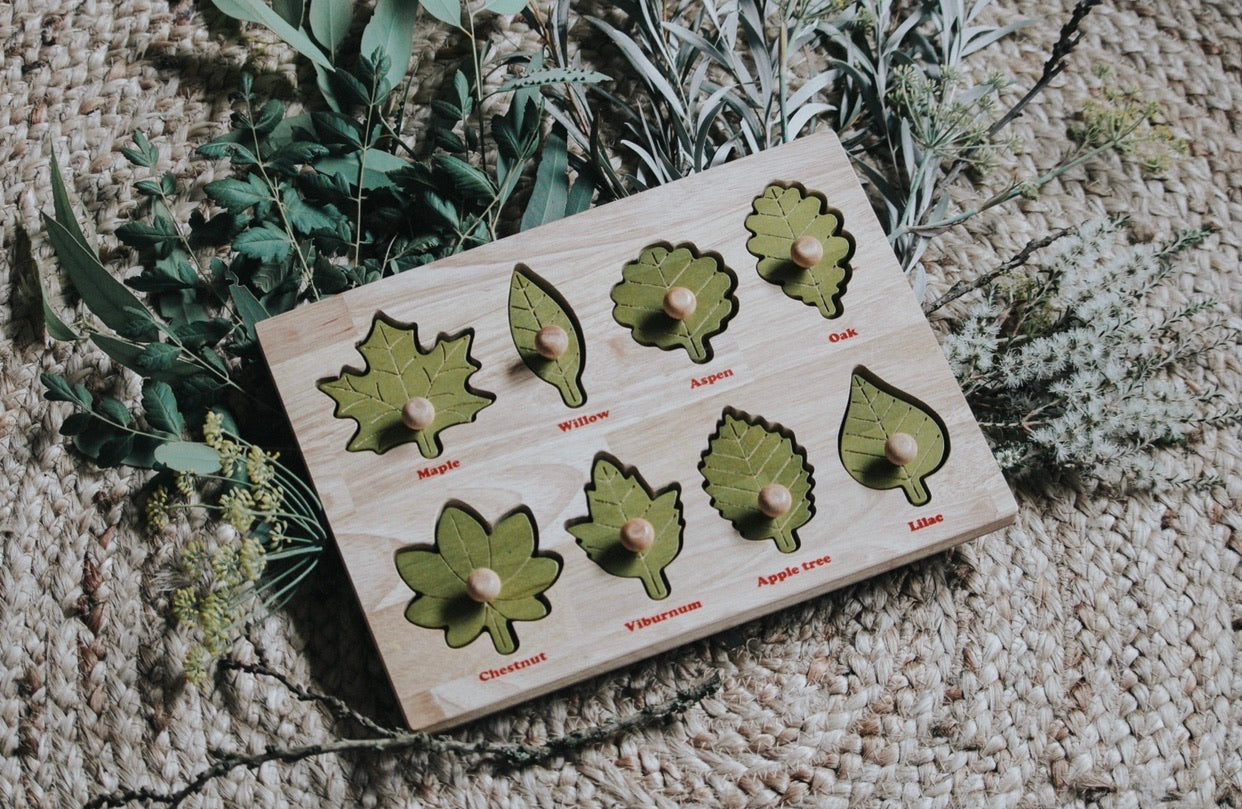 Montessori Leaf Puzzle
