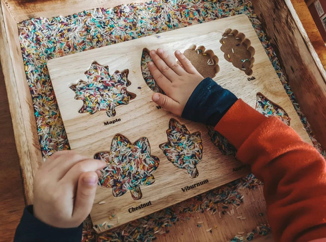 Montessori Leaf Puzzle