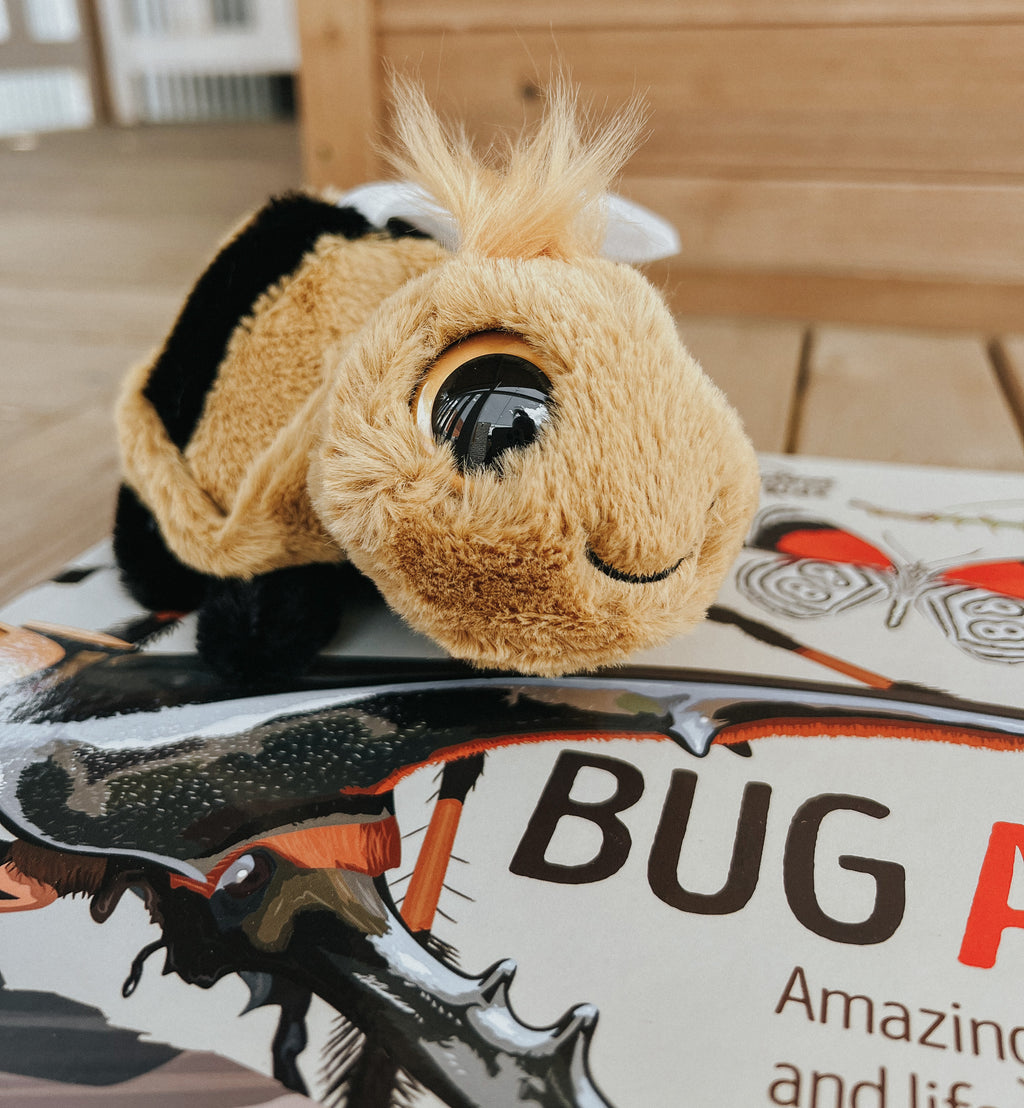 Little Bug Detective