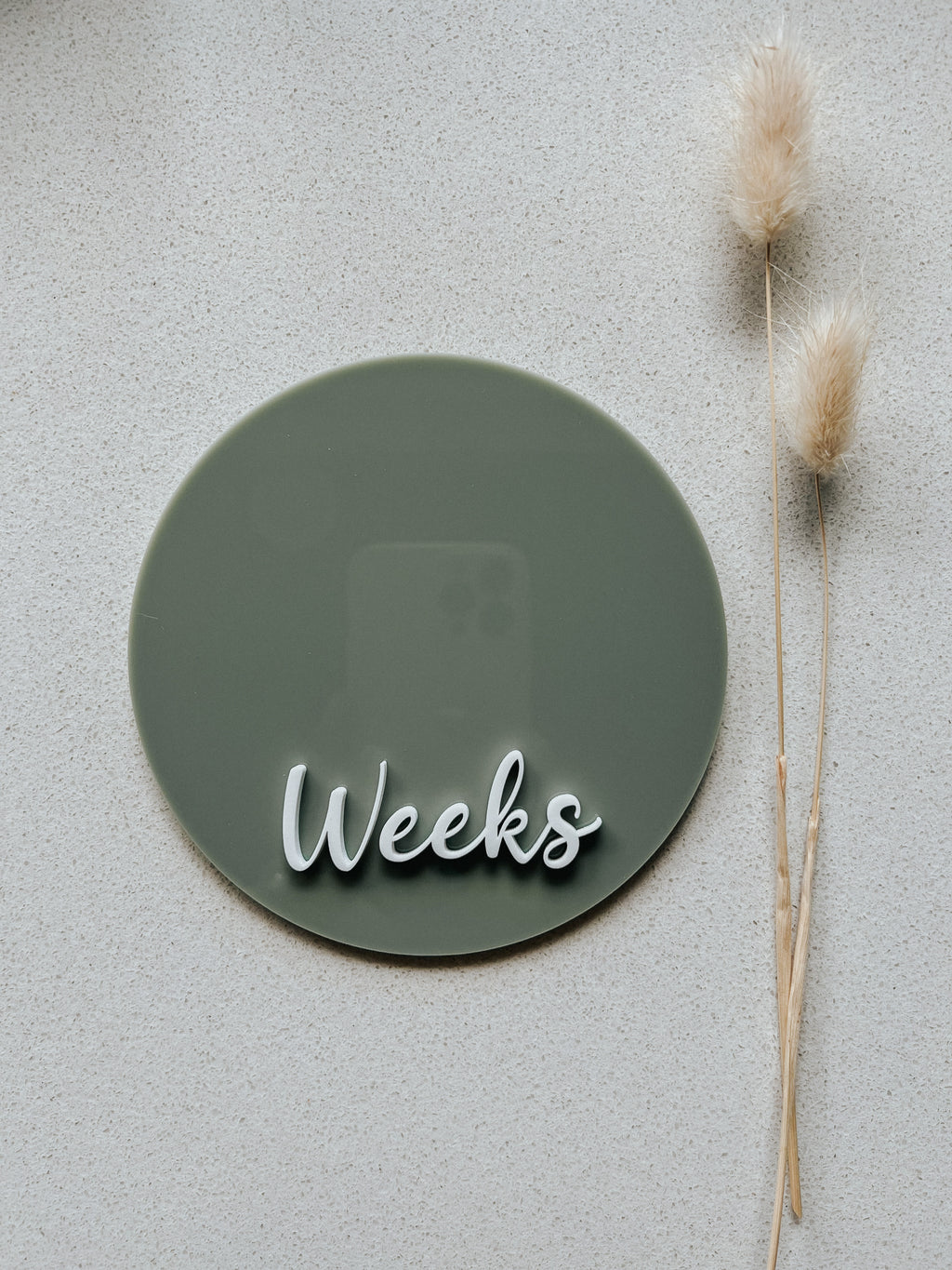 Double-sided Weeks/Months Single Milestone Disc