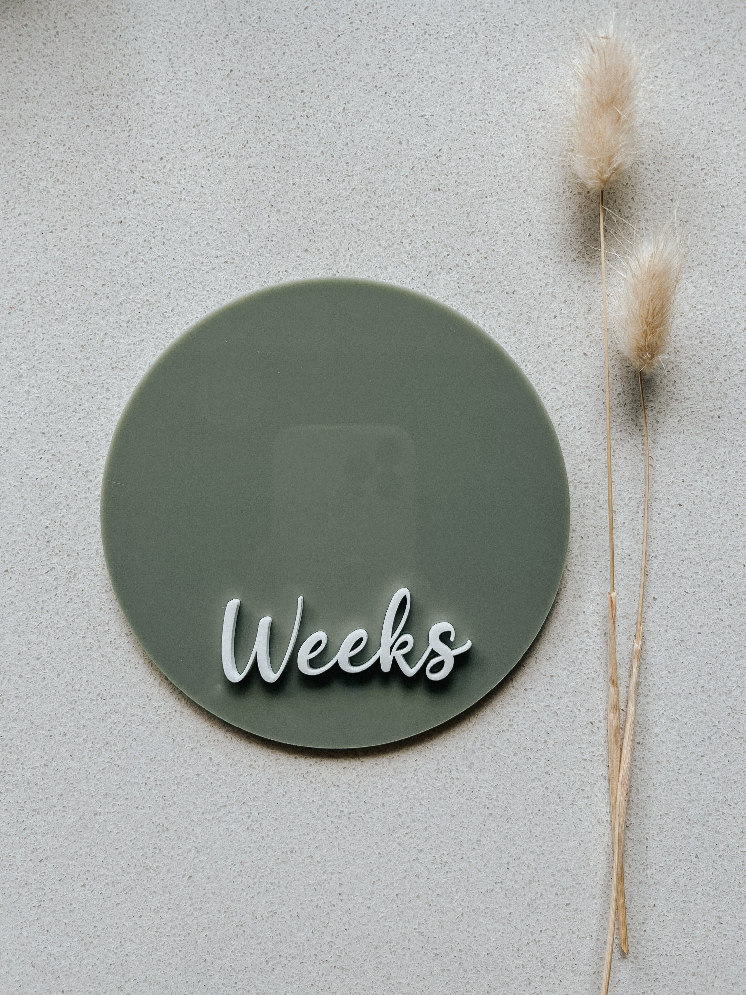 Double-sided Weeks/Months Single Milestone Disc
