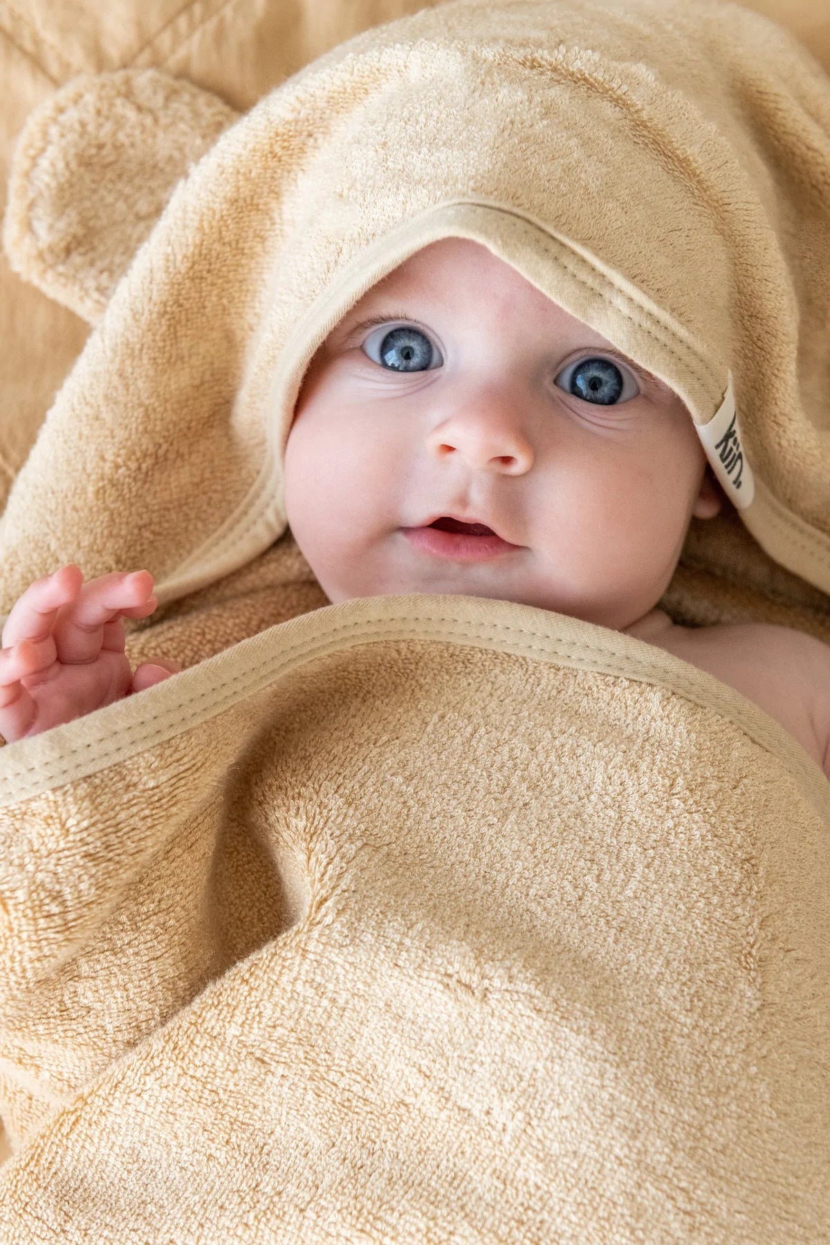 hooded towel - oat