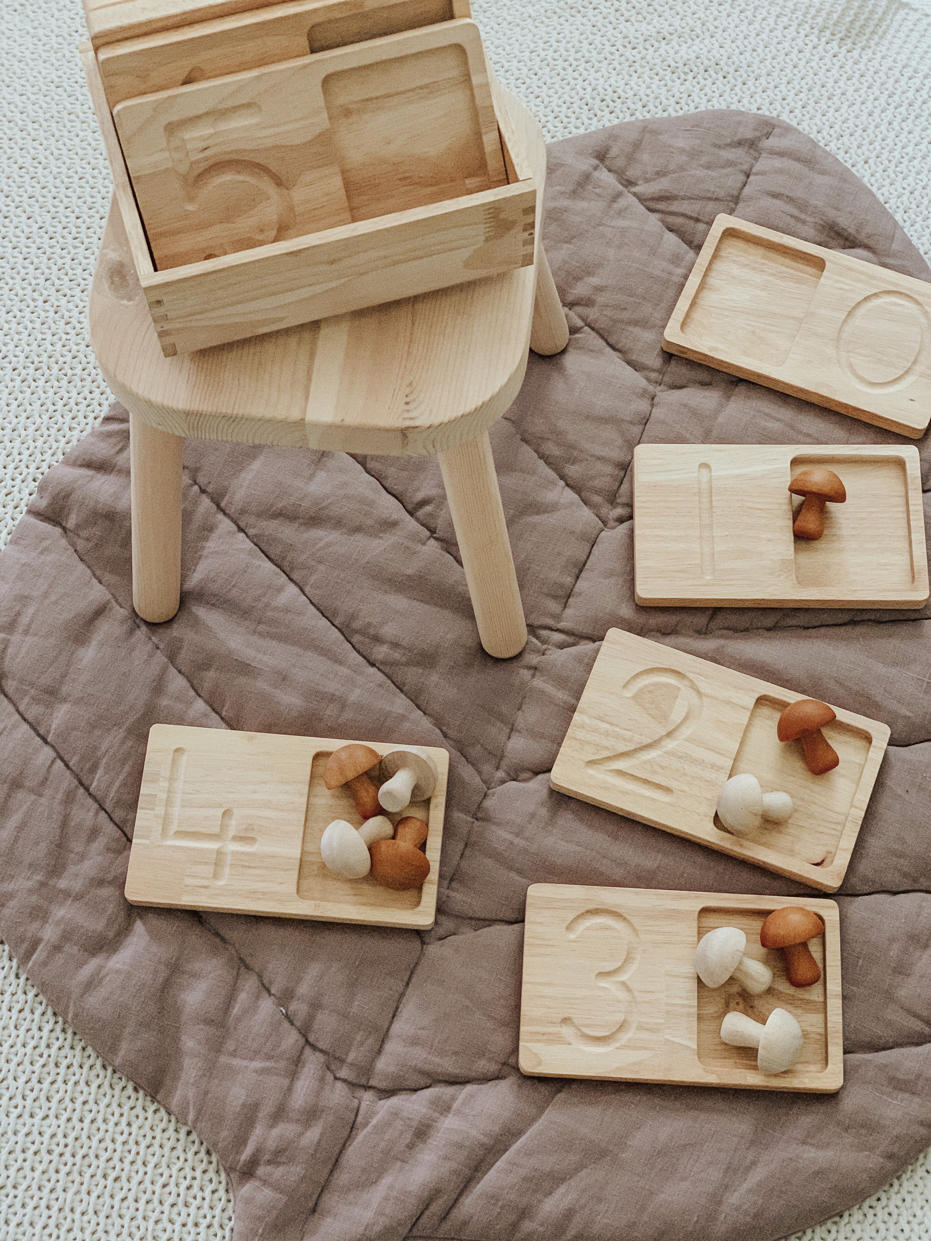 Jumbo Counting Trays