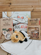 Little Bug Detective