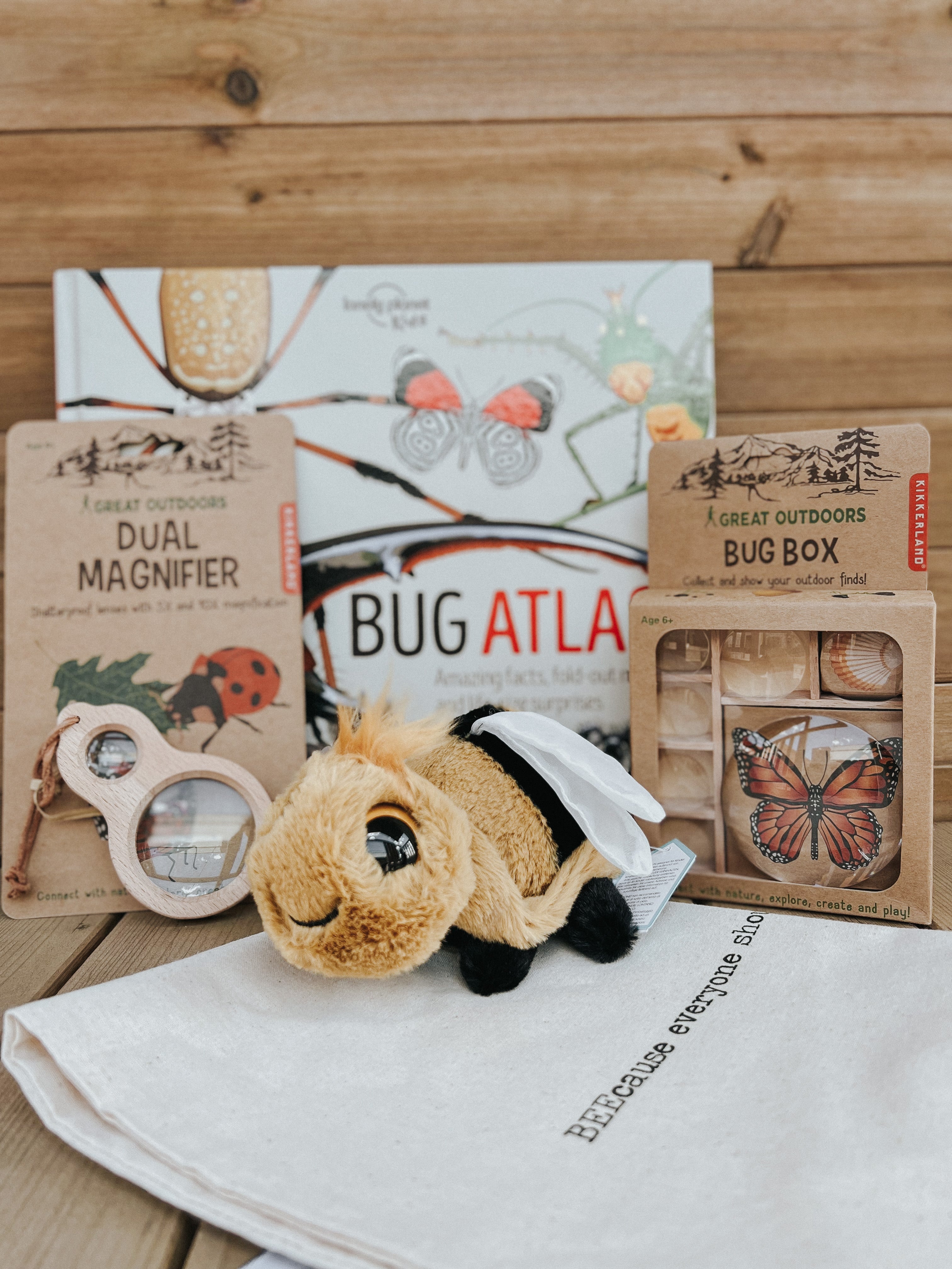 Little Bug Detective