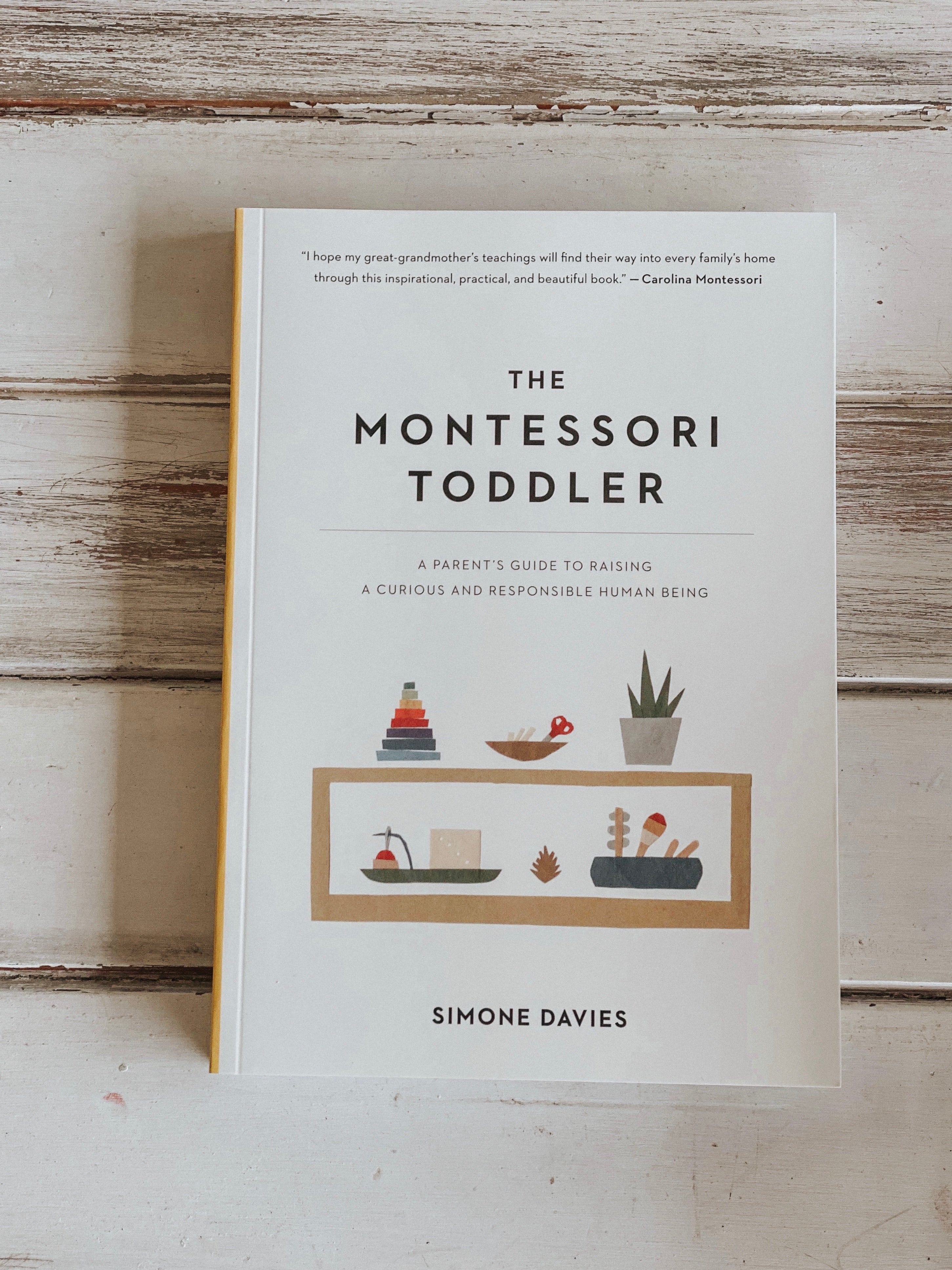 The Montessori Toddler