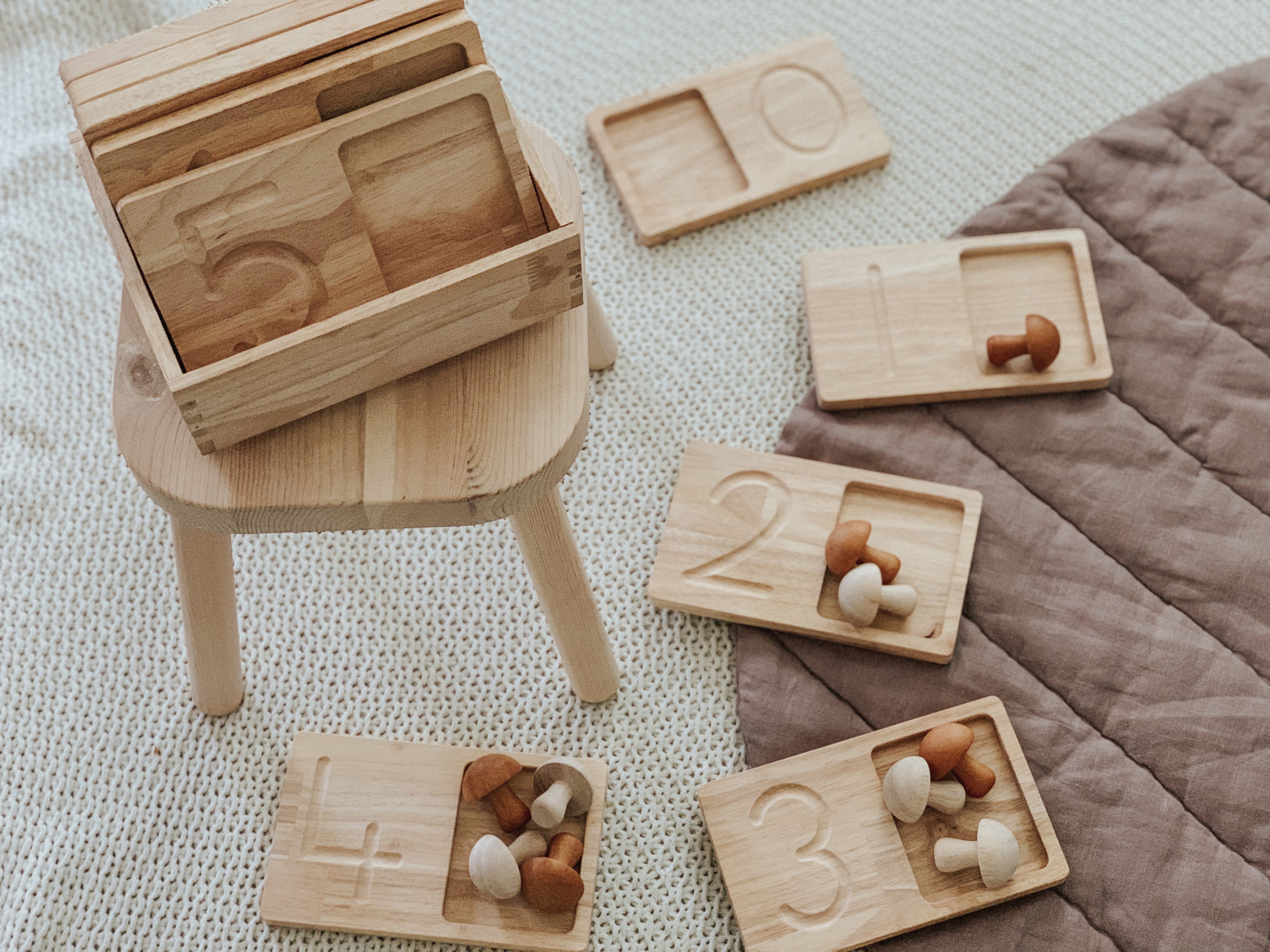 Jumbo Counting Trays